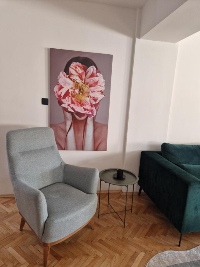 Comfy Center Apartment スコピエ エクステリア 写真