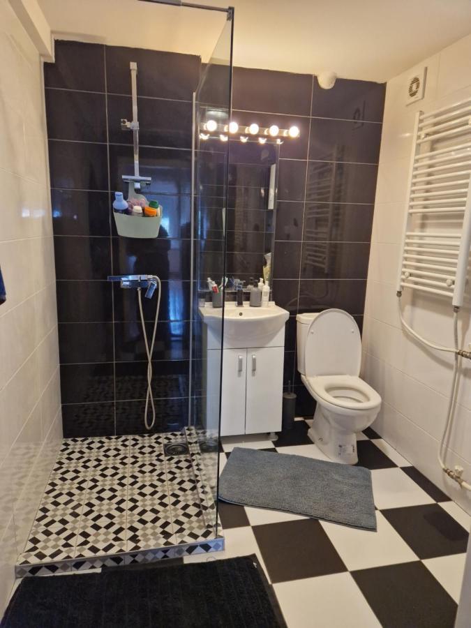 Comfy Center Apartment スコピエ エクステリア 写真